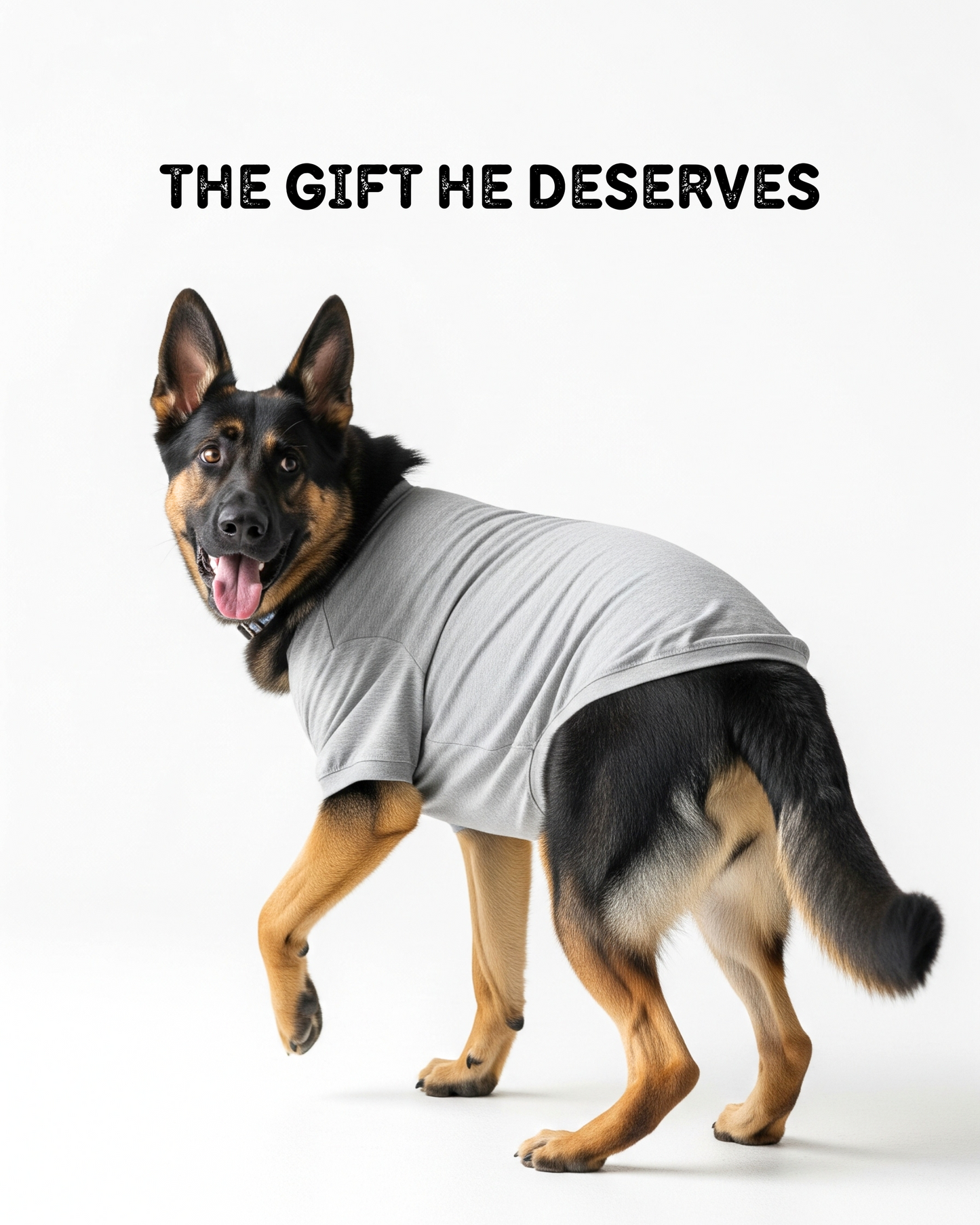 Premium Dog Tshirts 100% Cotton