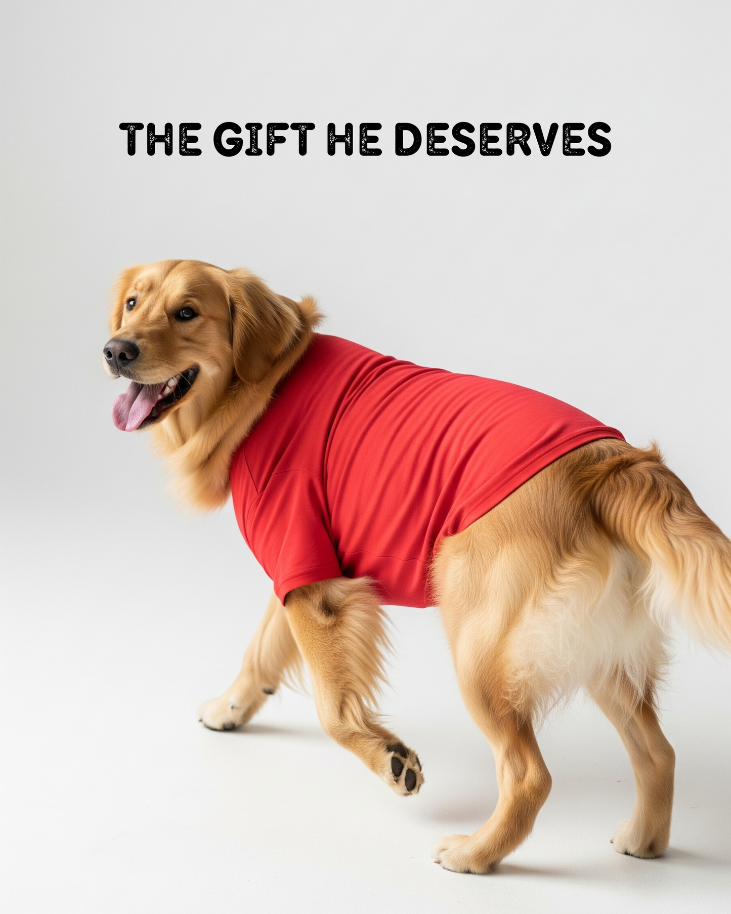 Premium Dog Tshirts 100% Cotton