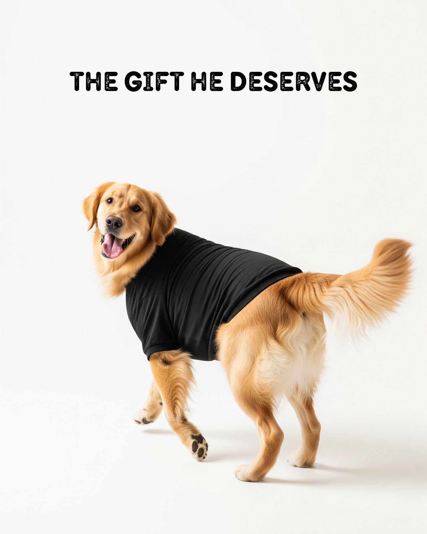 Premium Dog Tshirts 100% Cotton